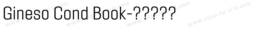 Gineso Cond Book字体转换